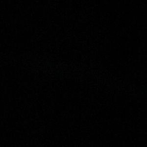 Meet your Posher, Daphane